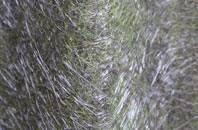 Arle fibreglass roof work